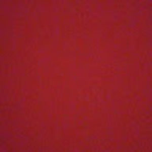 Meet your Posher, Shanae